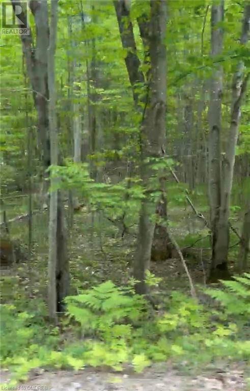 1000 Island Park Road, Port Carling, Ontario  P0B 1J0 - Photo 7 - 40644824