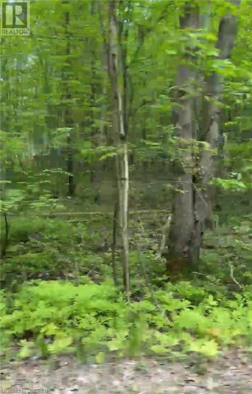 1000 Island Park Road, Port Carling, Ontario  P0B 1J0 - Photo 8 - 40644824