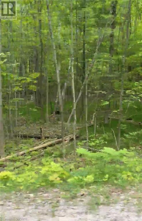 1000 Island Park Road, Port Carling, Ontario  P0B 1J0 - Photo 11 - 40644824