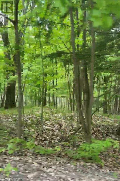 1000 Island Park Road, Port Carling, Ontario  P0B 1J0 - Photo 20 - 40644824