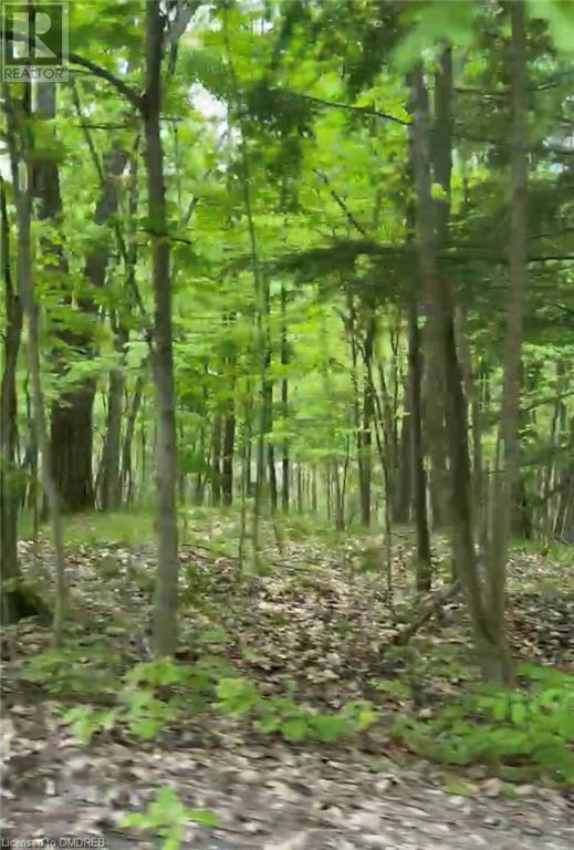 1000 Island Park Road, Port Carling, Ontario  P0B 1J0 - Photo 16 - 40644824