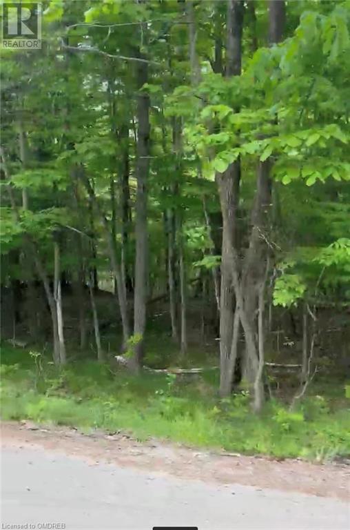 1000 Island Park Road, Port Carling, Ontario  P0B 1J0 - Photo 15 - 40644824