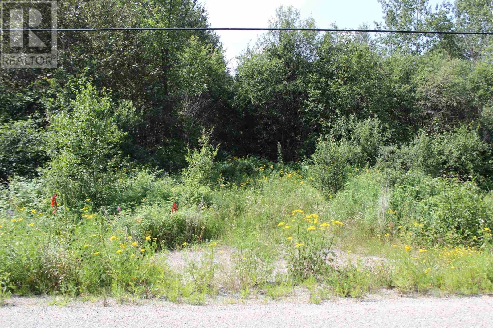 Pcl 15767 Hwy 613, Unorganized, Ontario  P0W 1C0 - Photo 12 - TB242911