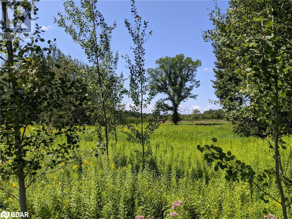 2361 George Johnston Road, Minesing, Ontario  L0L 1Y0 - Photo 13 - 40645705