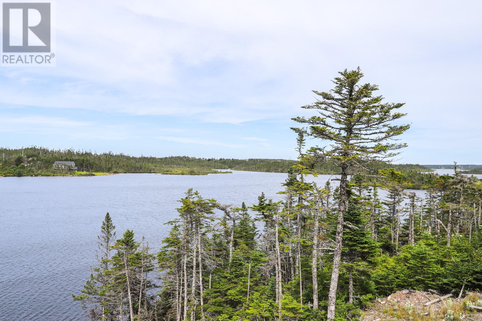 102 Peninsula Road, Whitbourne, Newfoundland & Labrador  A0K 1G0 - Photo 25 - 1277340