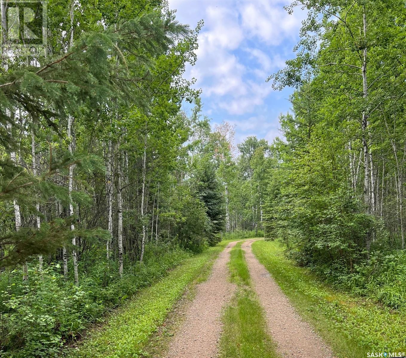 Wildlife Acres, Mervin Rm No.499, Saskatchewan  S0M 1J0 - Photo 6 - SK983354