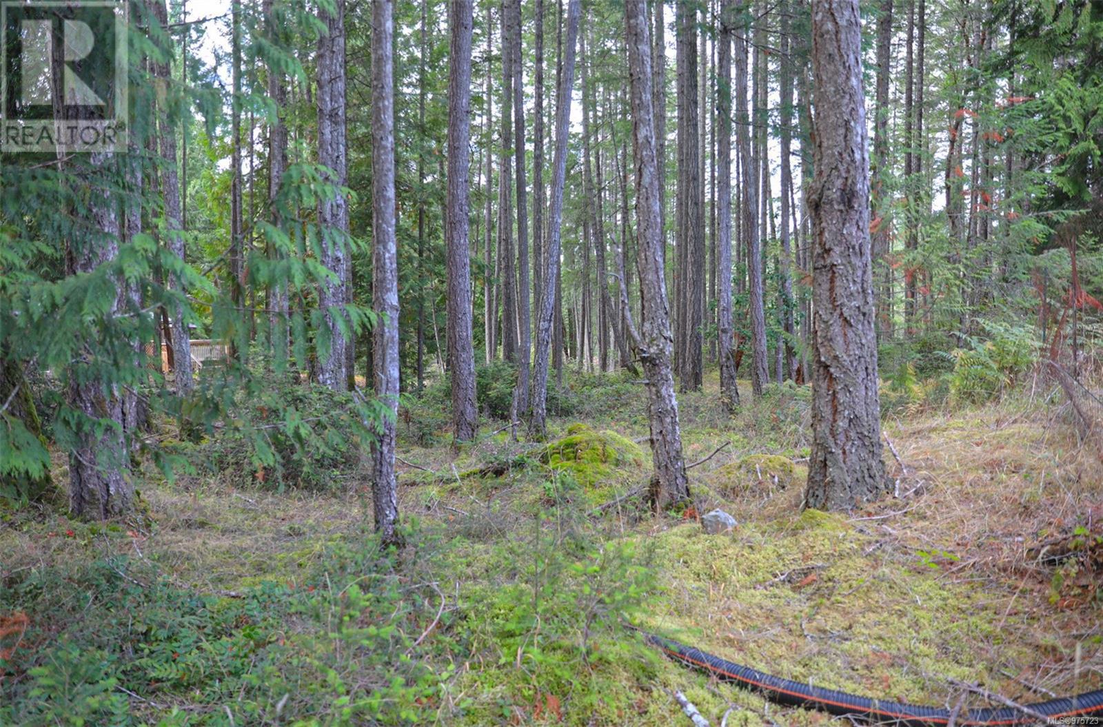 Lot 39 Lockinvar Lane, Gabriola Island, British Columbia  V0R 1X3 - Photo 6 - 975723