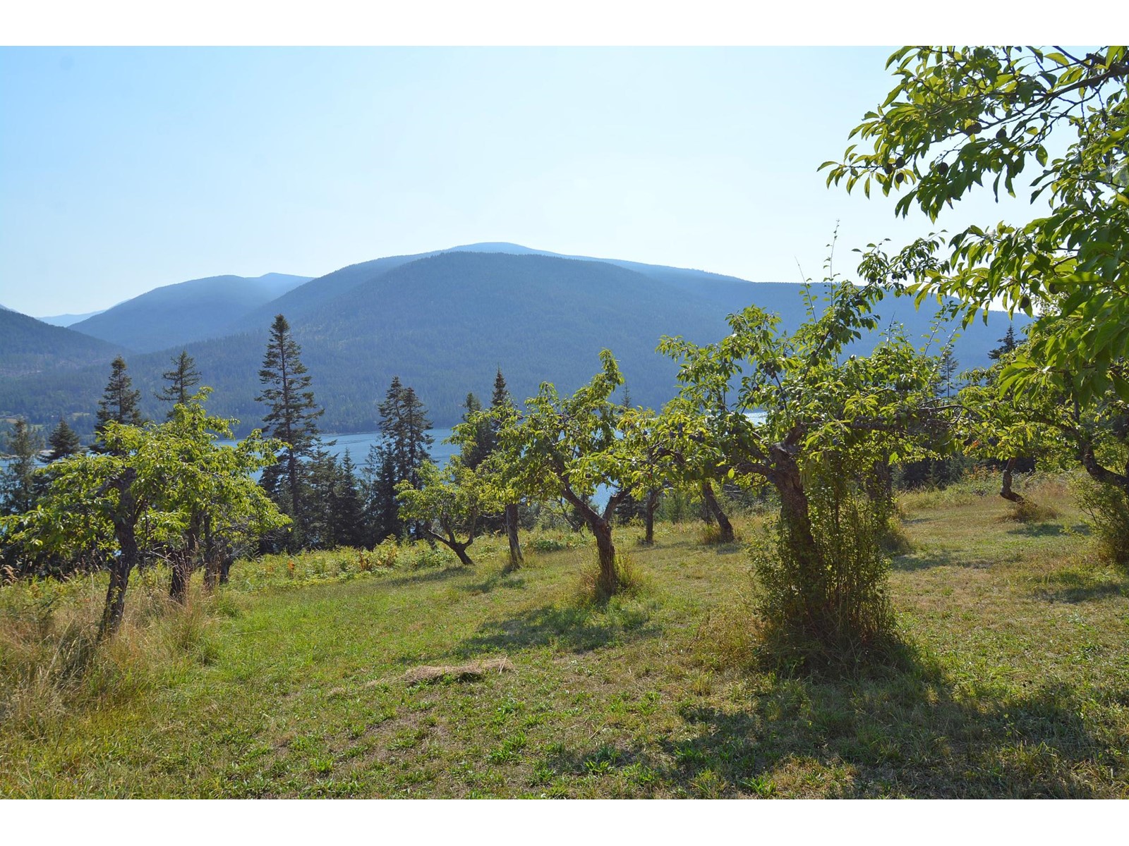 Lot 2 Highway 3a, Nelson, British Columbia  V1L 6P2 - Photo 14 - 2479526