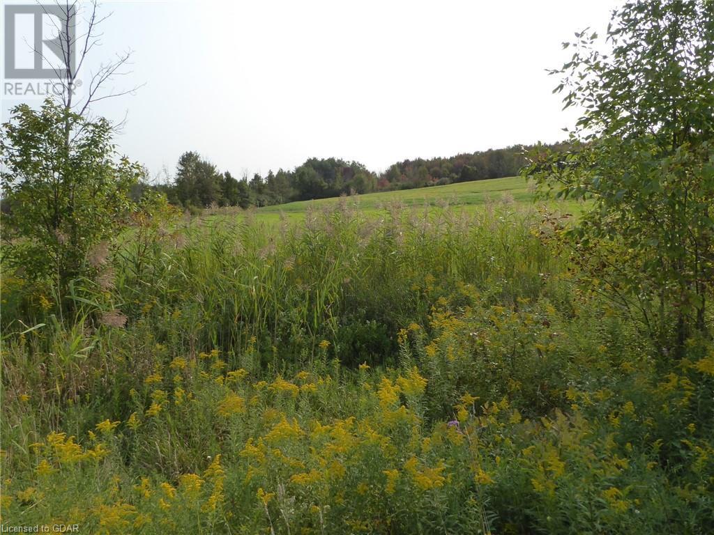 11080 First Line Nassagaweya Line, Moffat, Ontario  L0P 1J0 - Photo 26 - 40646021