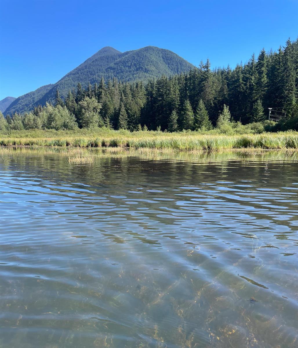 Sve51 Old Hope Princeton Highway, Sunshine Valley, Sunshine Valley, British Columbia V0X 1L5 - Photo 11 - R2924634