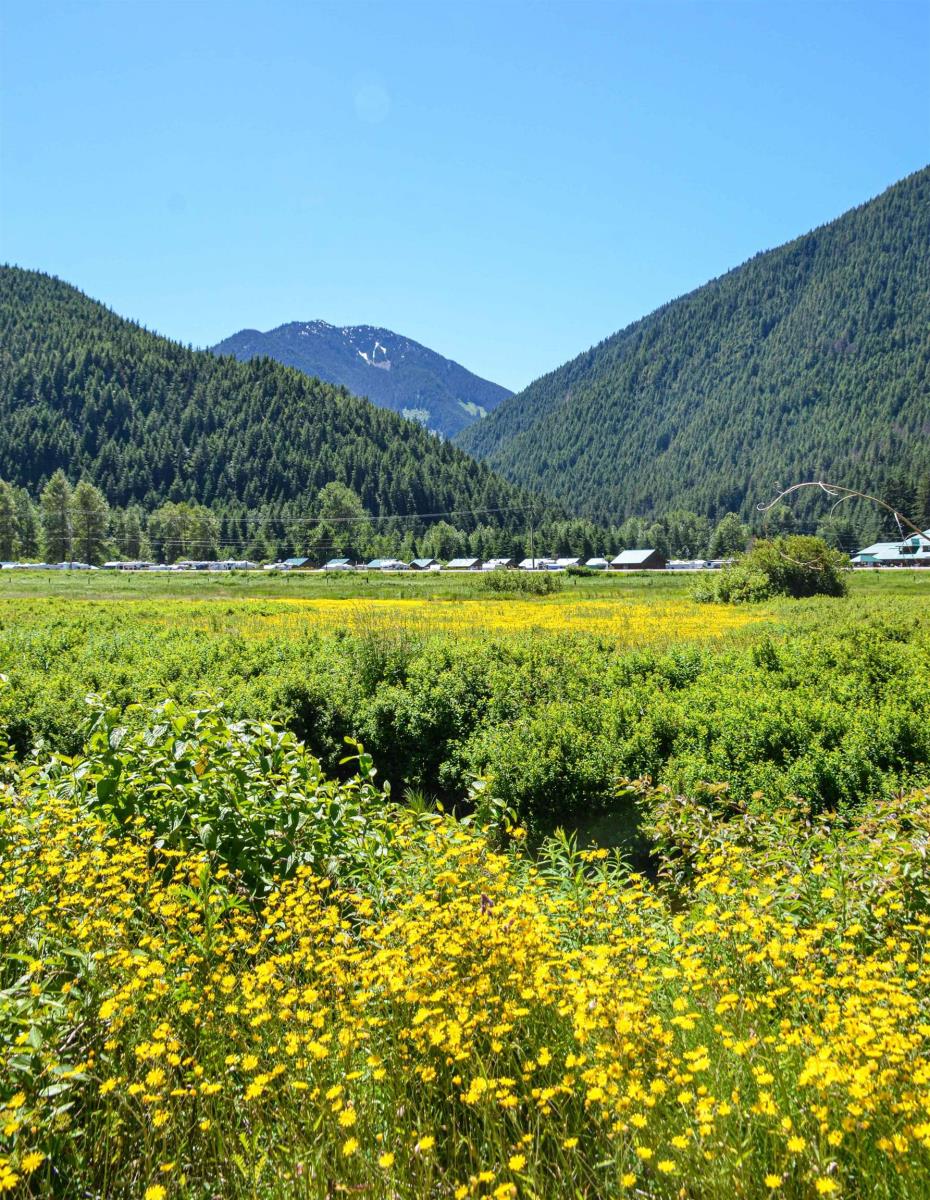 Sve51 Old Hope Princeton Highway, Sunshine Valley, Sunshine Valley, British Columbia V0X 1L5 - Photo 23 - R2924634