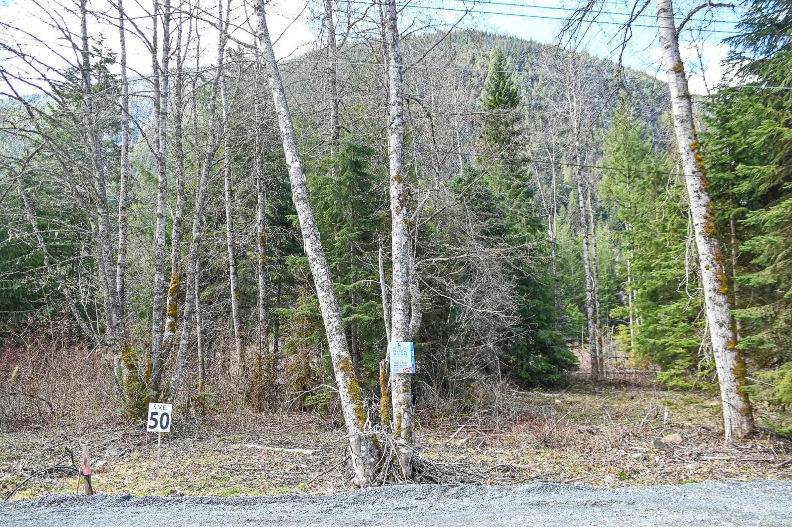 Sve51 Old Hope Princeton Highway, Sunshine Valley, Sunshine Valley, British Columbia V0X 1L5 - Photo 5 - R2924634