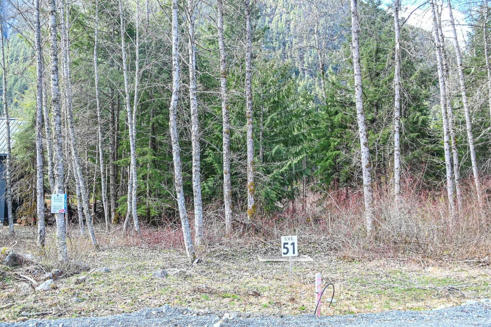 Sve51 Old Hope Princeton Highway, Sunshine Valley, Sunshine Valley, British Columbia V0X 1L5 - Photo 6 - R2924634