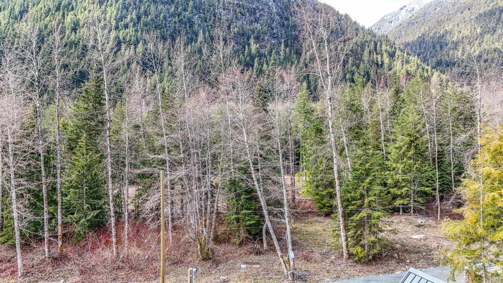 Sve51 Old Hope Princeton Highway, Sunshine Valley, Sunshine Valley, British Columbia V0X 1L5 - Photo 7 - R2924634