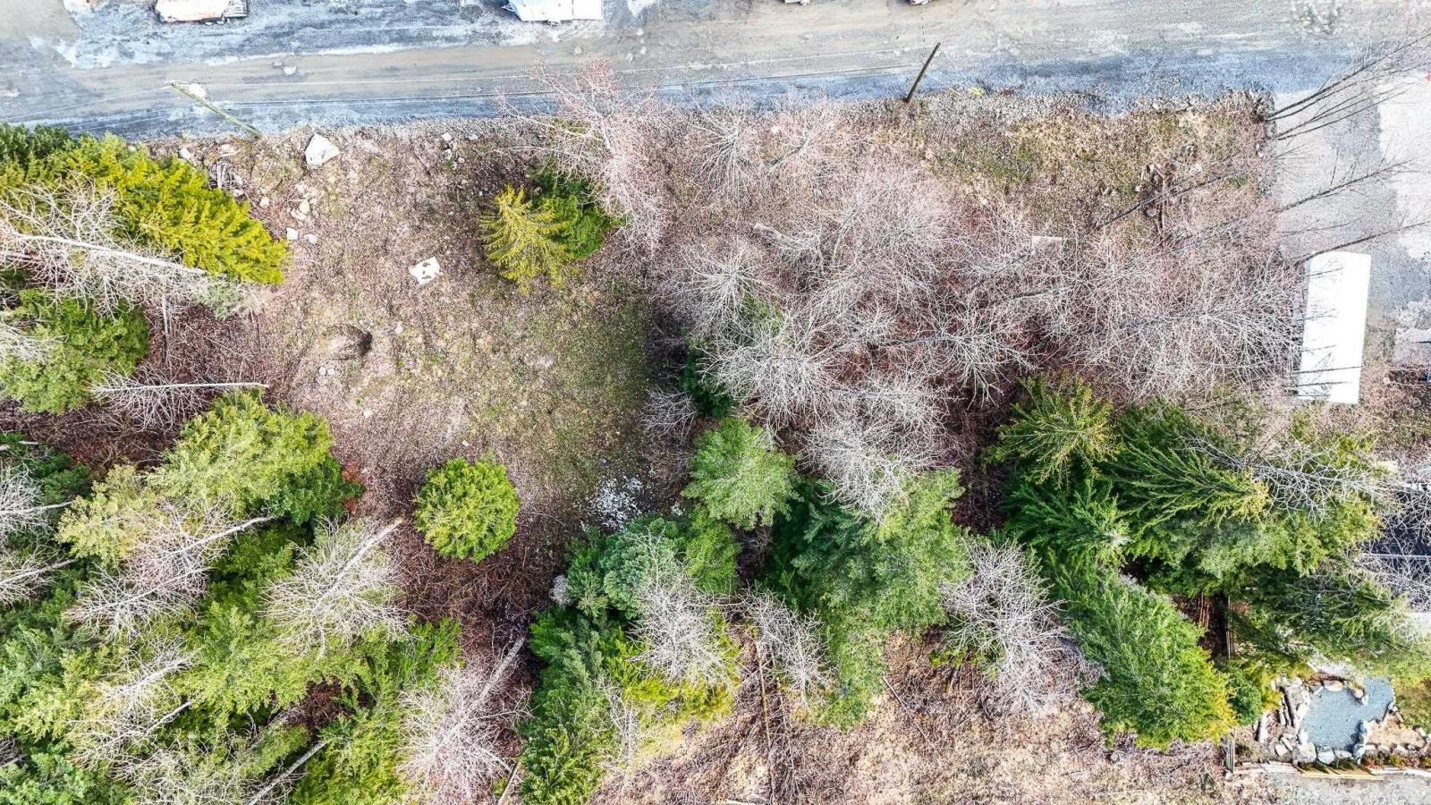 Sve51 Old Hope Princeton Highway, Sunshine Valley, Sunshine Valley, British Columbia V0X 1L5 - Photo 8 - R2924634