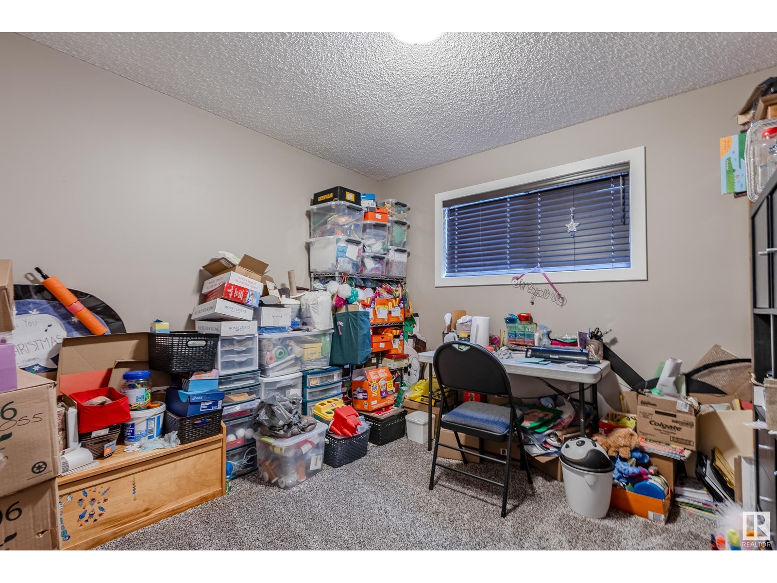 10618 99 St, Morinville, Alberta  T8R 2P1 - Photo 25 - E4406030