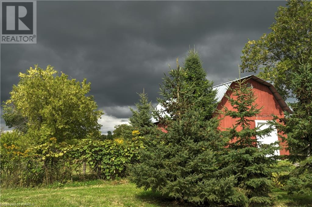 4770 Highway 2 E, Gananoque, Ontario  K7G 2V5 - Photo 8 - 40638901