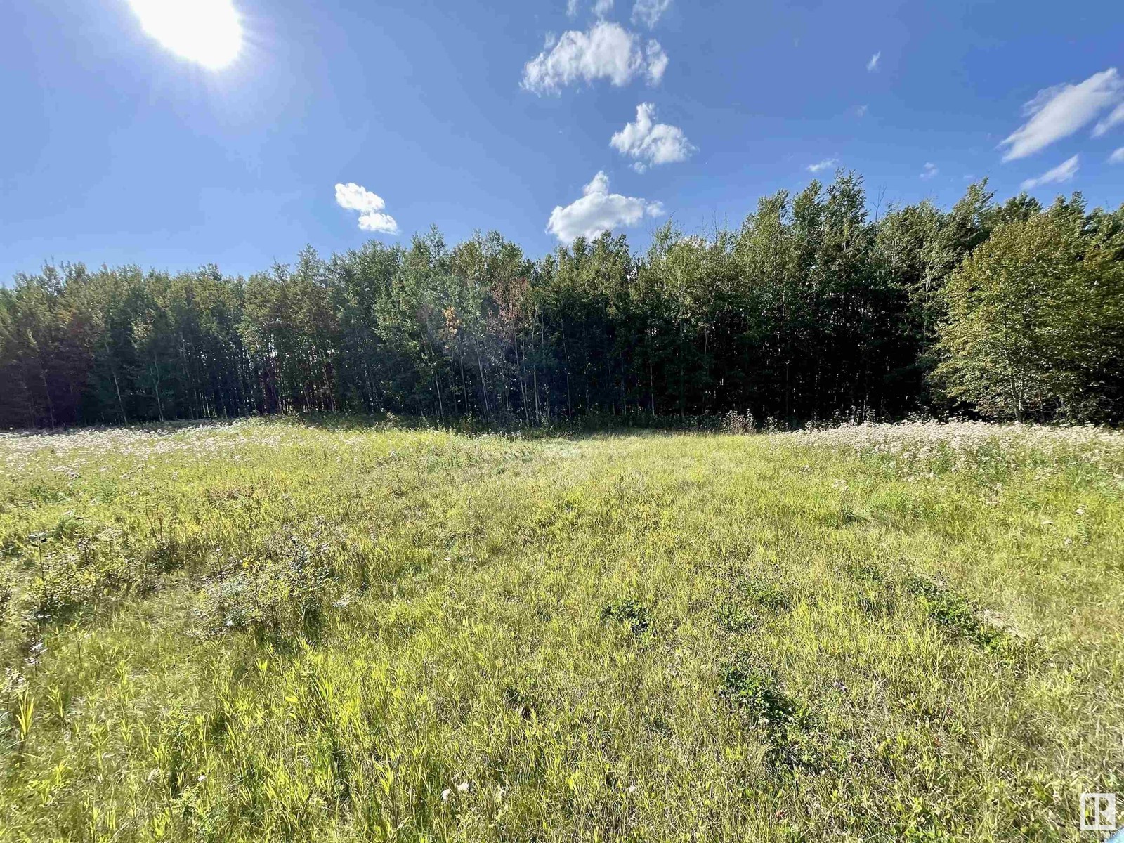 3 Beachside Es, Rural Wetaskiwin County, Alberta  T0C 2V0 - Photo 5 - E4357857