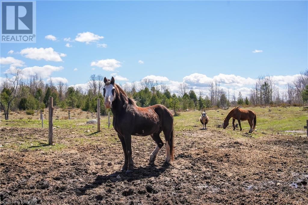 315421 Highway 6, Chatsworth (Twp), Ontario  N0H 2V0 - Photo 11 - 40641526