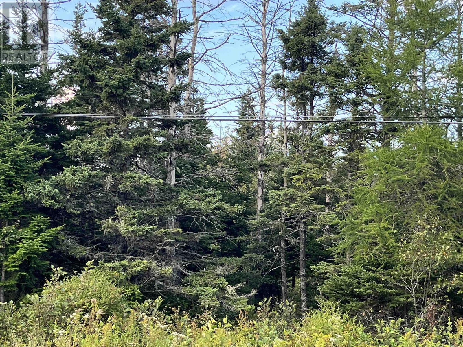 Property at Highway 7 image 3