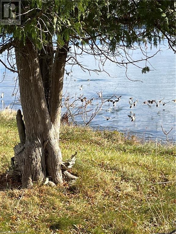 Pt Lt 9-10 Henderson Lane, Wolfe Island, Ontario  K0H 2Y0 - Photo 4 - 40641359