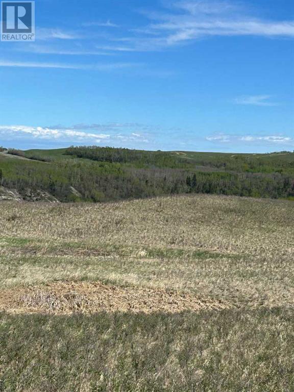 Township Road 382, Rural Red Deer County, Alberta  T0M 0V0 - Photo 31 - A2133176