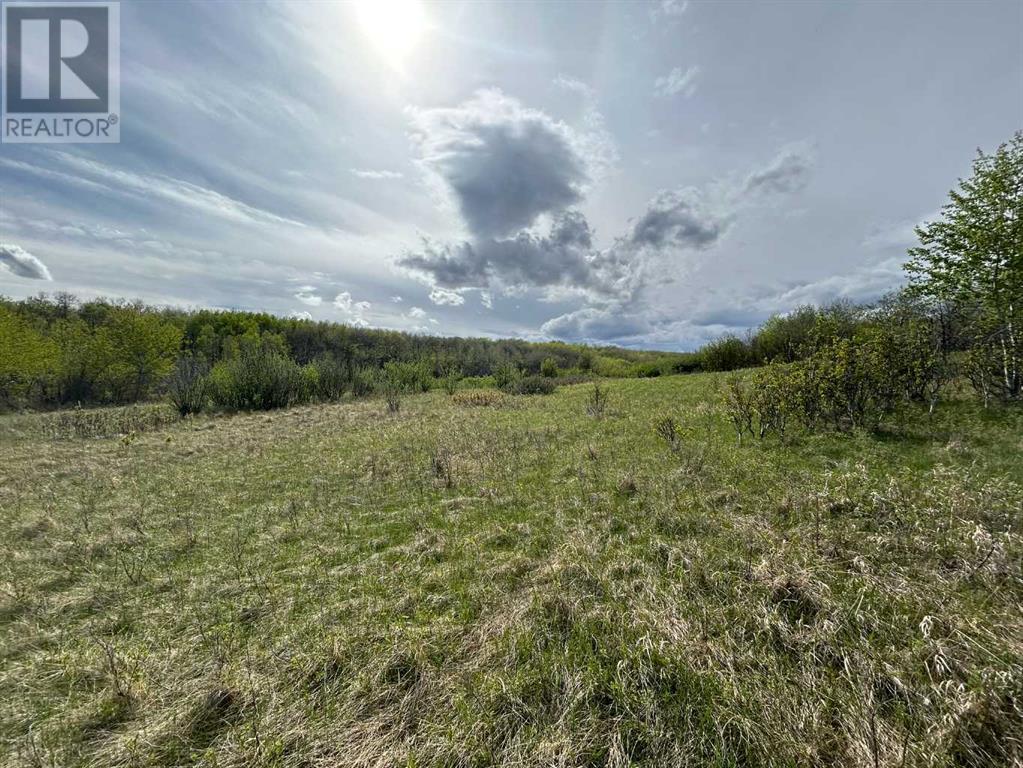 Township Road 382, Rural Red Deer County, Alberta  T0M 0V0 - Photo 34 - A2133176