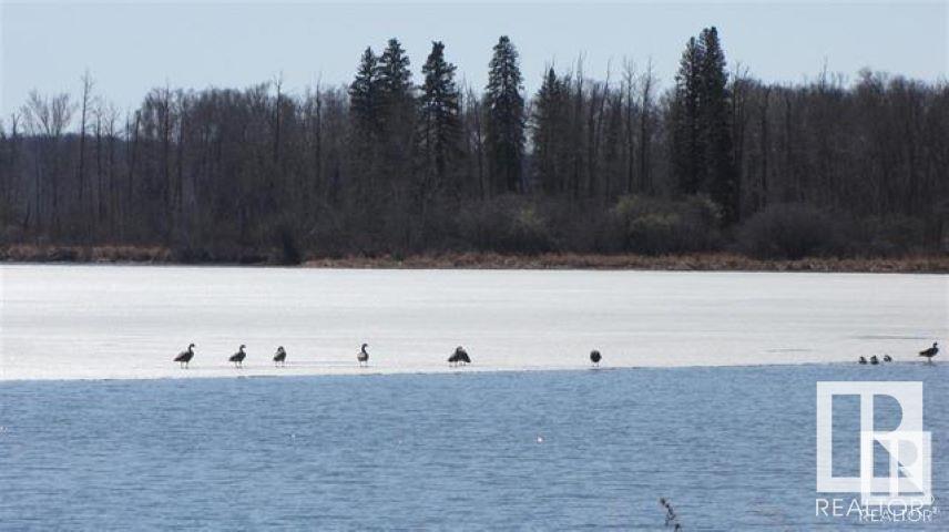 42 Highway 633 And Range Road 53, Rural Lac Ste. Anne County, Alberta  T0E 1H0 - Photo 22 - E4406142