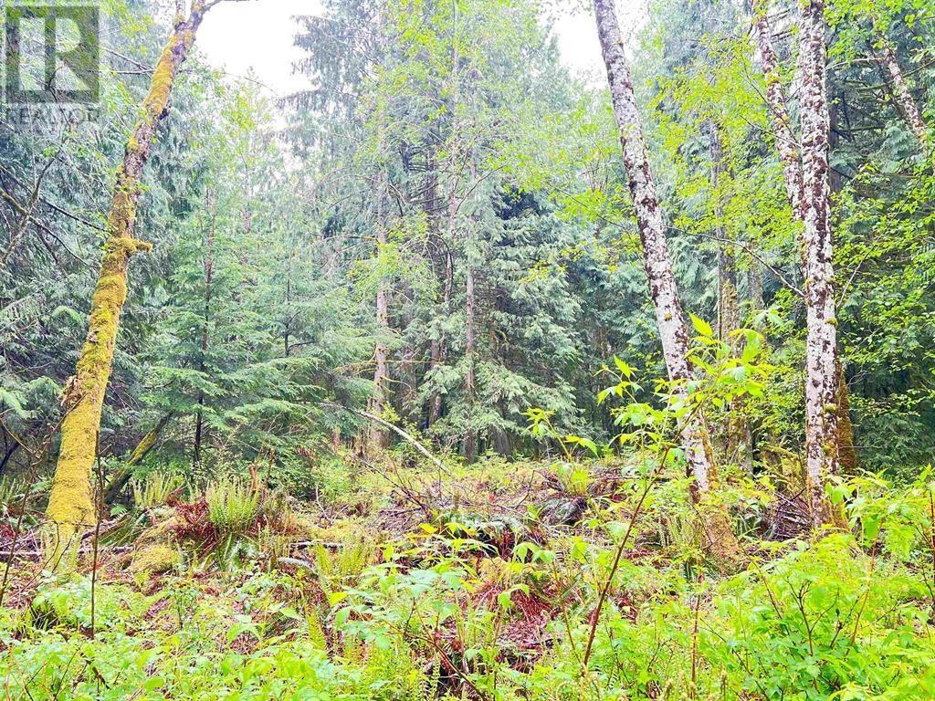 6229 Mason Road, Sechelt, British Columbia  V7Z 0N4 - Photo 9 - R2894669