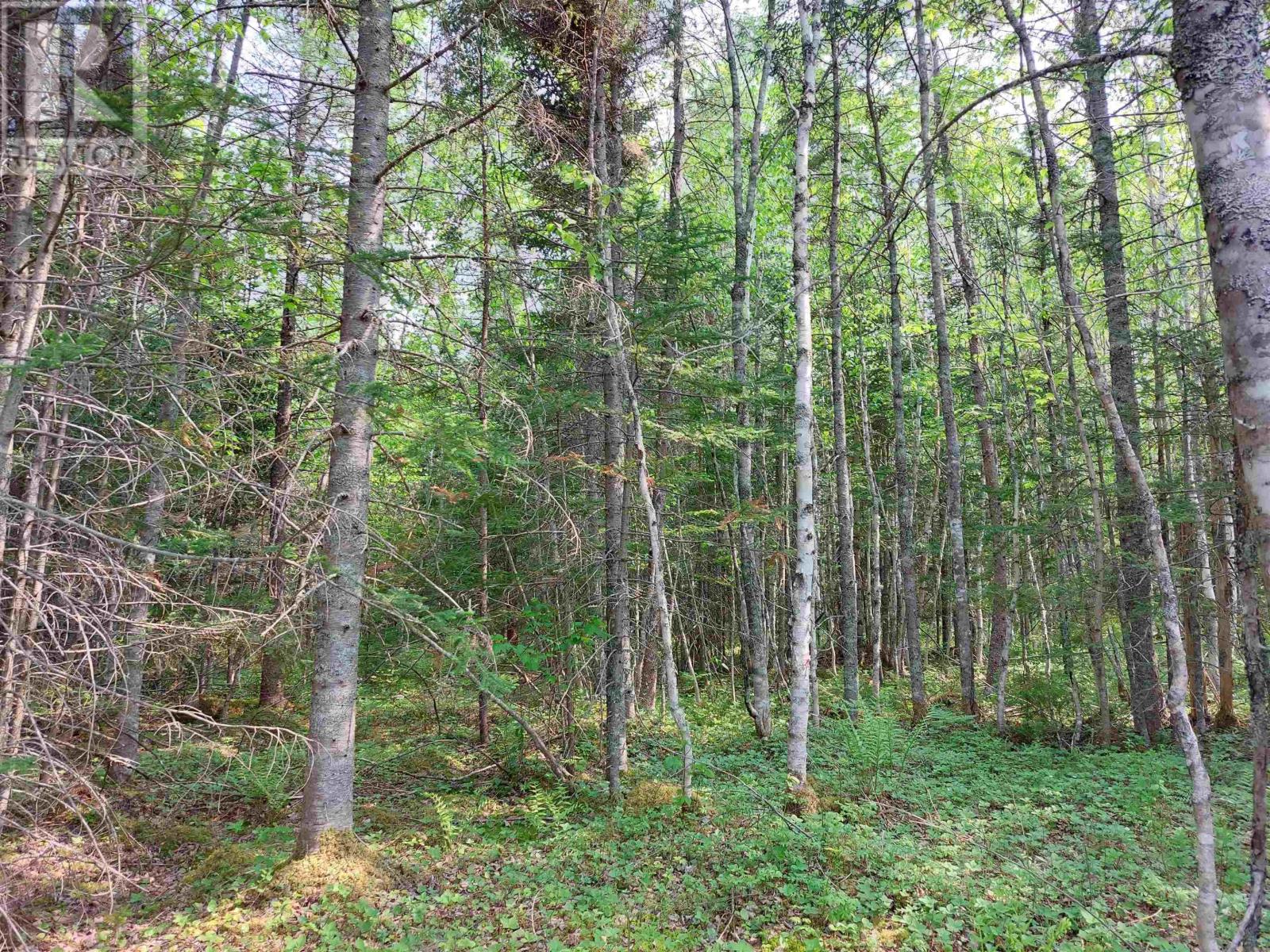 Lot 4 Beaver Ln., Grantville, Nova Scotia  B0E 1J0 - Photo 8 - 202422128