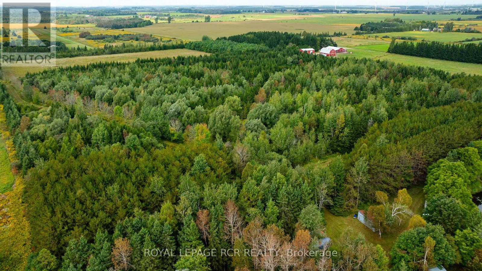 335093 7th Line, Amaranth, Ontario  L9W 0L2 - Photo 30 - X9347807