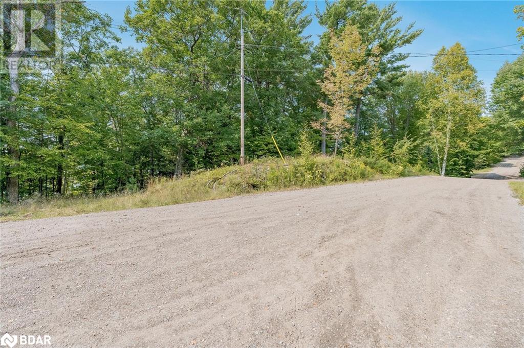 312 West Point Sands Road, Huntsville, Ontario  P1H 2J3 - Photo 3 - 40646367