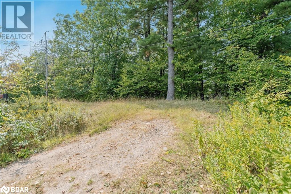 312 West Point Sands Road, Huntsville, Ontario  P1H 2J3 - Photo 4 - 40646367