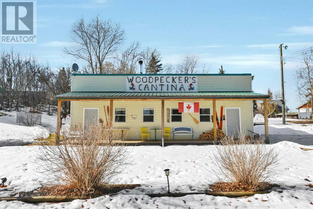 11 Aimie, White Sands, Alberta  T0C 2L0 - Photo 47 - A2115326