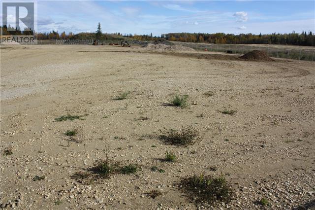Property at 67079 Rge Rd 133 image 4