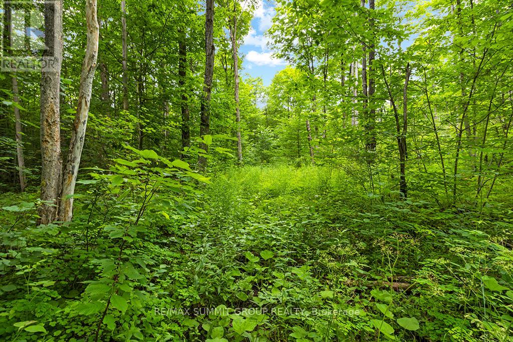 Pt Lt 6 9th Line, Grey Highlands, Ontario  N0C 1H0 - Photo 11 - X9348505