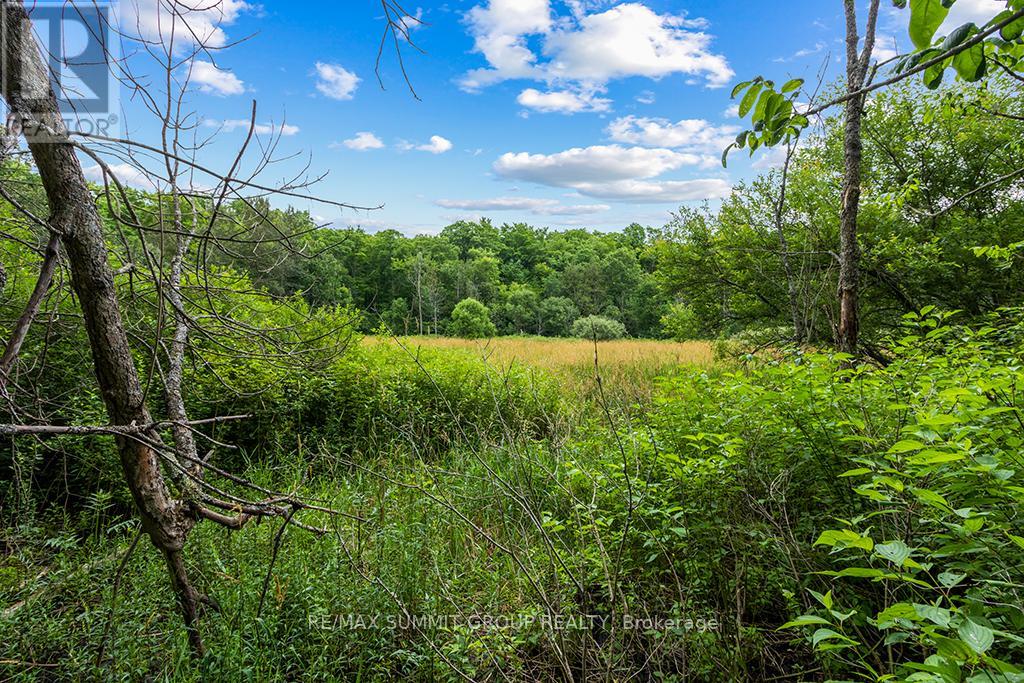 Pt Lt 6 9th Line, Grey Highlands, Ontario  N0C 1H0 - Photo 12 - X9348505