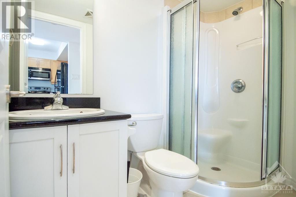 314 Central Park Drive Unit#707, Ottawa, Ontario  K2C 4G4 - Photo 12 - 1411928