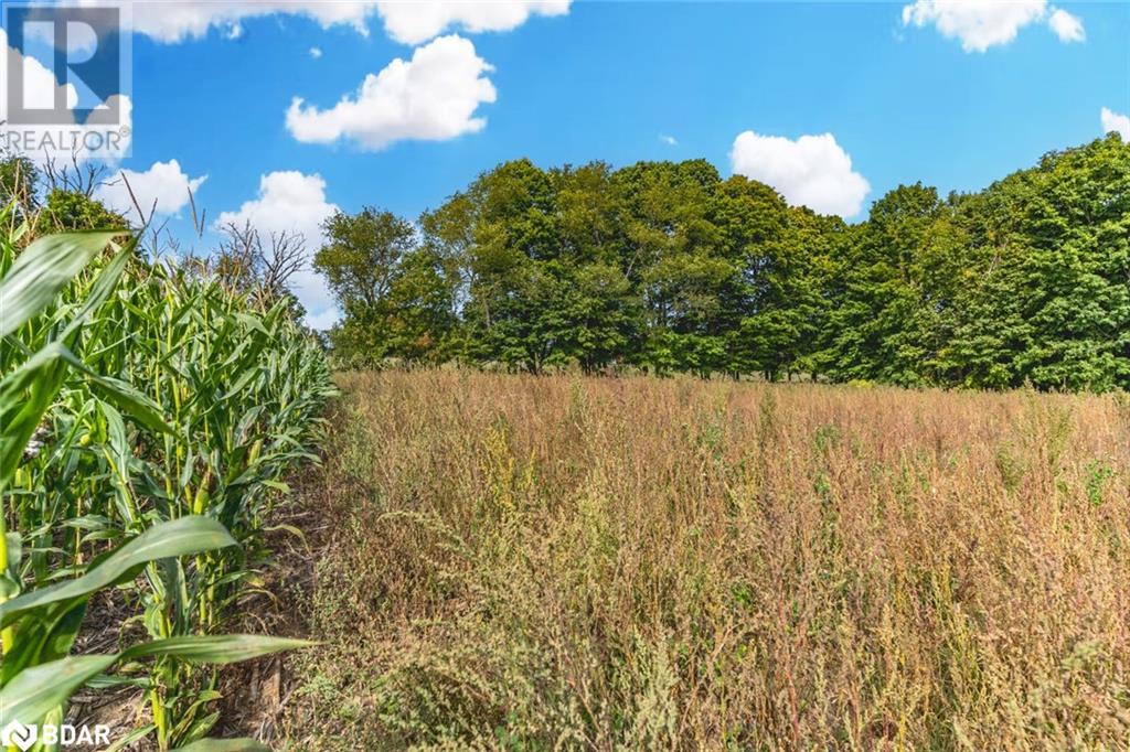 Lot 3 Line 8 N, Oro-Medonte, Ontario  L0K 1N0 - Photo 8 - 40645817