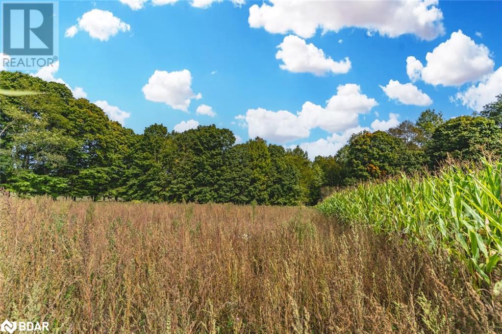 Lot 3 Line 8 N, Oro-Medonte, Ontario  L0K 1N0 - Photo 9 - 40645817