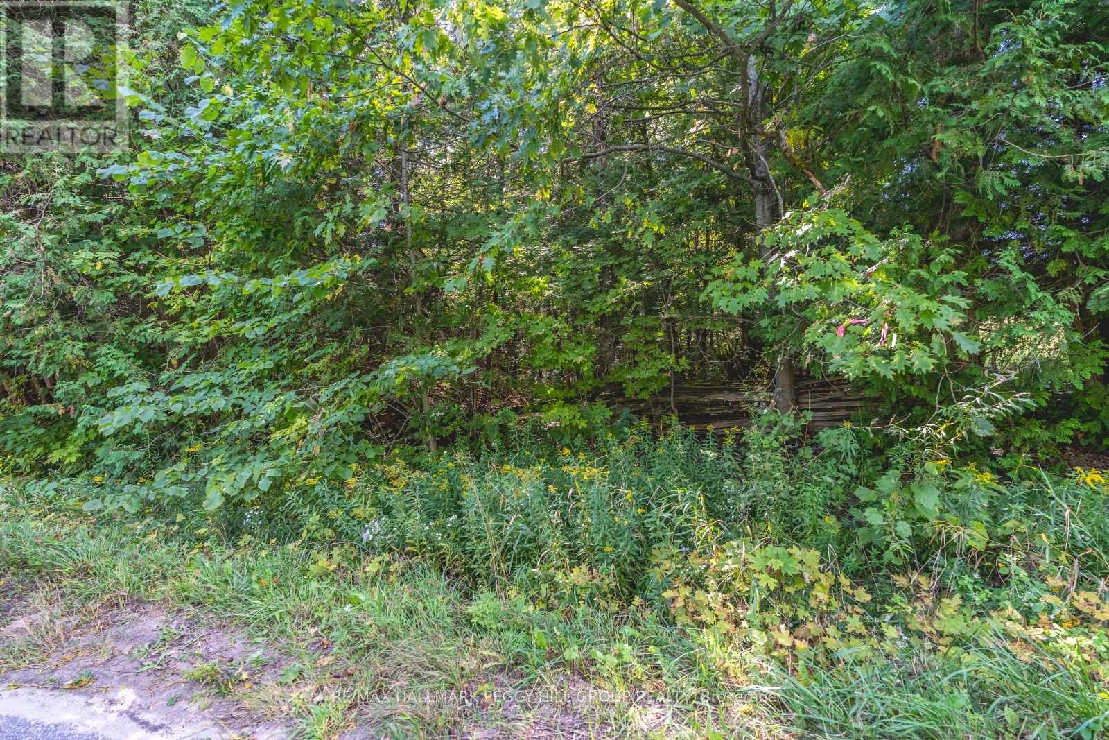 Lot 3 Line 8 N, Oro-Medonte, Ontario  L0K 1N0 - Photo 5 - S9348899