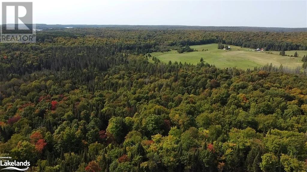 0 South Horn Lake Road, Burk's Falls, Ontario  P0A 1C0 - Photo 17 - 40646194