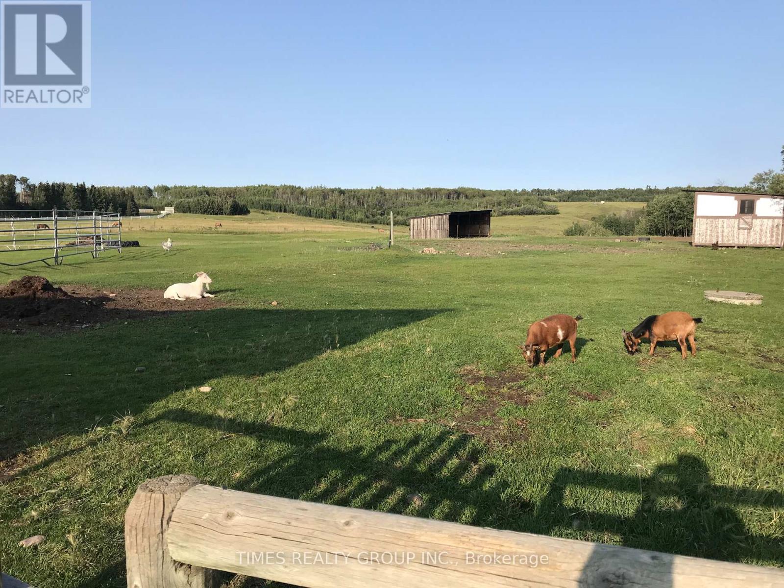 743001 Range Road 51, Webster, Alberta  T0H 3C0 - Photo 20 - X7031446