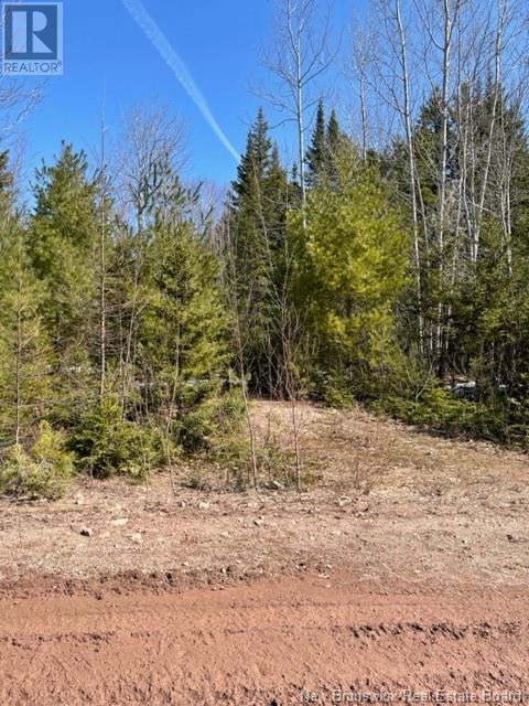 Lot Marine Drive, Youngs Cove, New Brunswick  E3A 3M1 - Photo 3 - NB105673