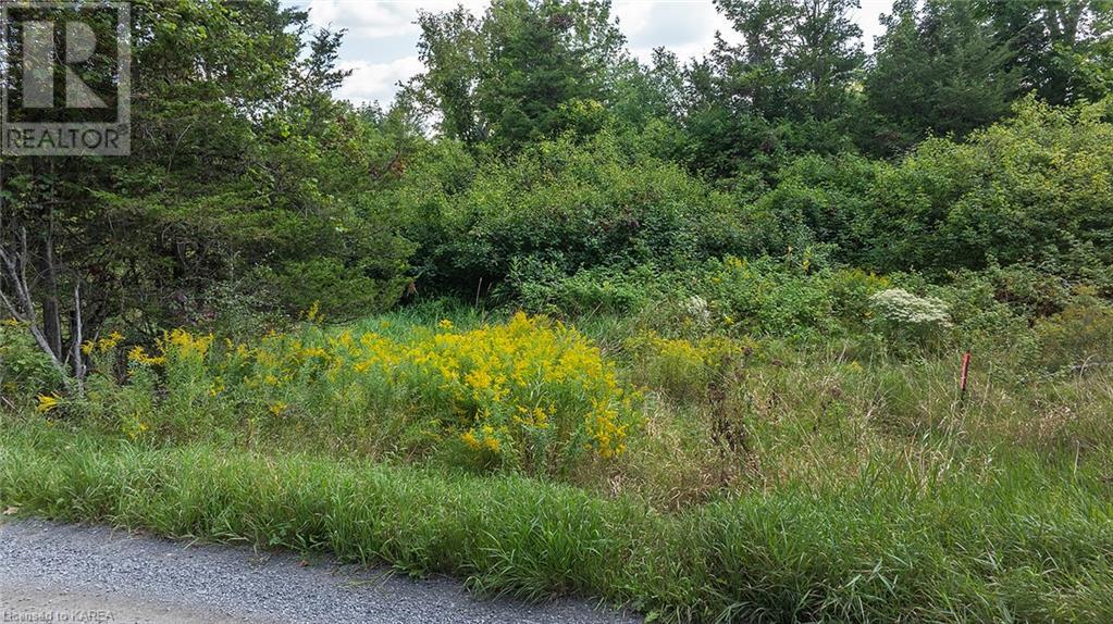 Pt Lt 5 Con 4 James Wilson Road, Hartington, Ontario  K0H 1W0 - Photo 15 - 40646126