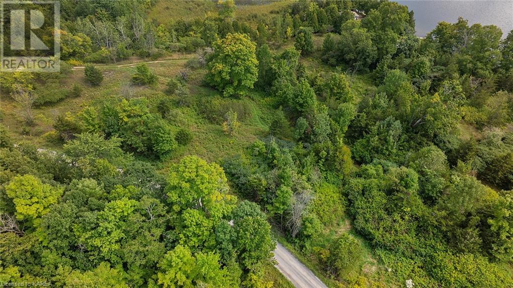 Pt Lt 5 Con 4 James Wilson Road, Hartington, Ontario  K0H 1W0 - Photo 17 - 40646126