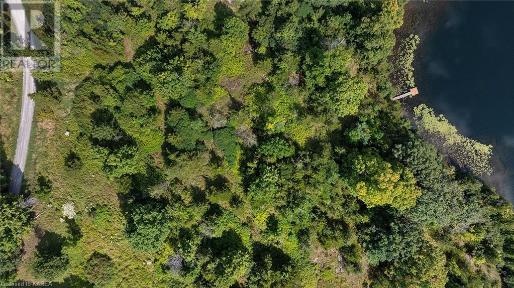 Pt Lt 5 Con 4 James Wilson Road, Hartington, Ontario  K0H 1W0 - Photo 19 - 40646126