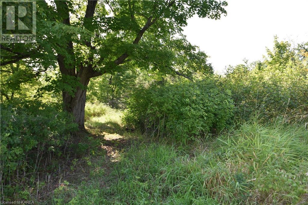 Pt Lt 5 Con 4 James Wilson Road, Hartington, Ontario  K0H 1W0 - Photo 37 - 40646126