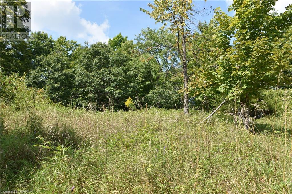 Pt Lt 5 Con 4 James Wilson Road, Hartington, Ontario  K0H 1W0 - Photo 40 - 40646126