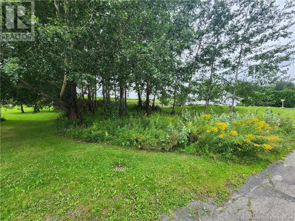 164 Corno Street, Saint-Basile, New Brunswick  E7C 2G8 - Photo 3 - NB095677